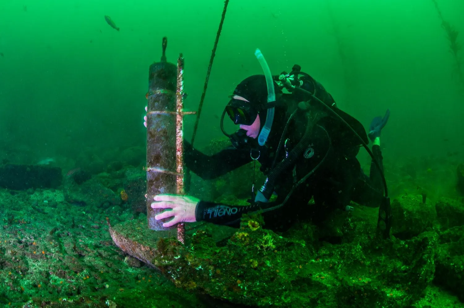 華新工程顧問有限公司-影像